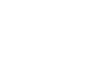 Dev Fireworks Logo